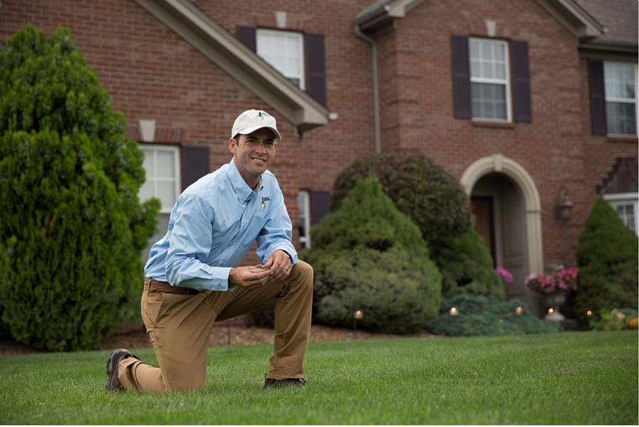 Cover photo of Lawn Doctor of Marietta
